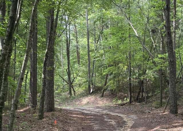 Property at 0 Colbert Hollow Rd, Rock Spring, GA 30739