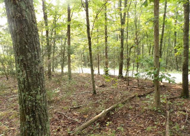 Property at 01 Johnson Lp Rd, Pikeville, TN 37367