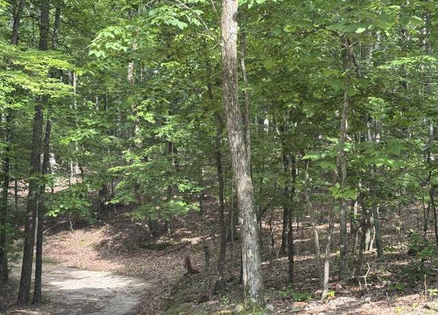 Property at 0 W Watts Rd, Ringgold, GA 30736