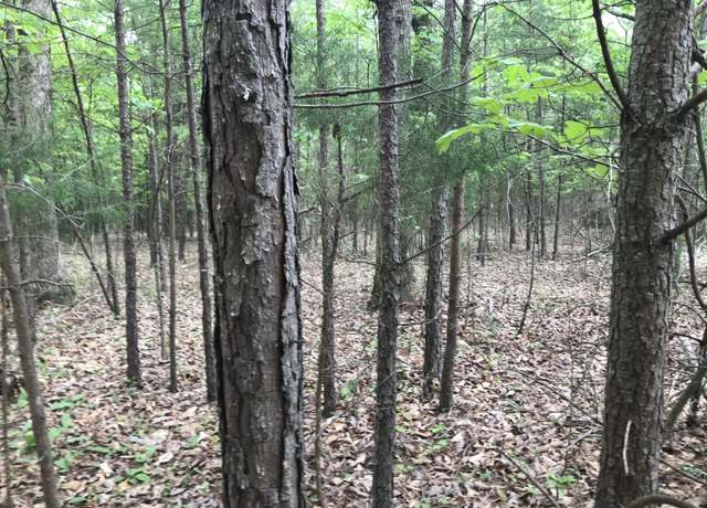 Property at 0 Bluffview Dr #26, Dunlap, TN 37327
