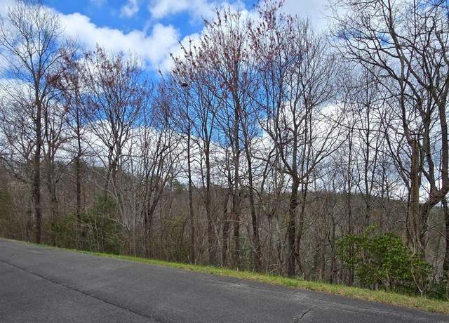Property at 0 Highway 52 Ga, Chatsworth, GA 30705
