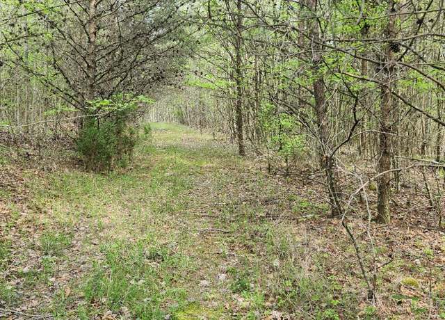 Property at 0 Old Holy Water Rd Unit Tract 2, Tracy City, TN 37387