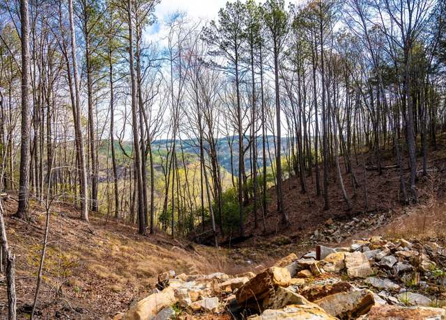 Property at 0 Farm Rd Lot 1047, Guild, TN 37340
