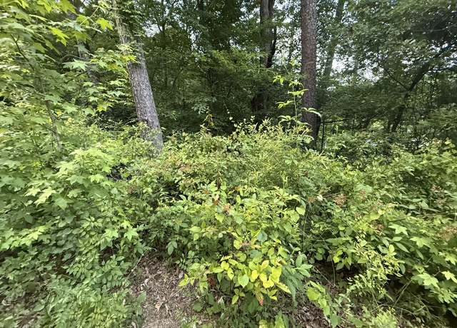Property at 0 Morrison Ln, Ringgold, GA 30736