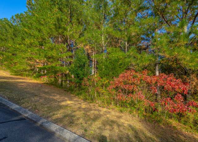Property at 128 Cherokee Ridge Dr, Ocoee, TN 37361