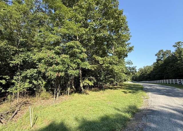 Property at 0 Bluff View Dr, Dunlap, TN 37327