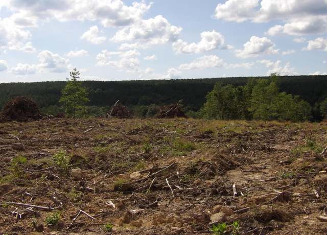 Property at Lot 14 Summer City Rd, Evensville, TN 37332