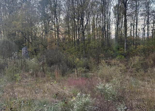 Property at Lot 7 Lake Forest Dr, Birchwood, TN 37308