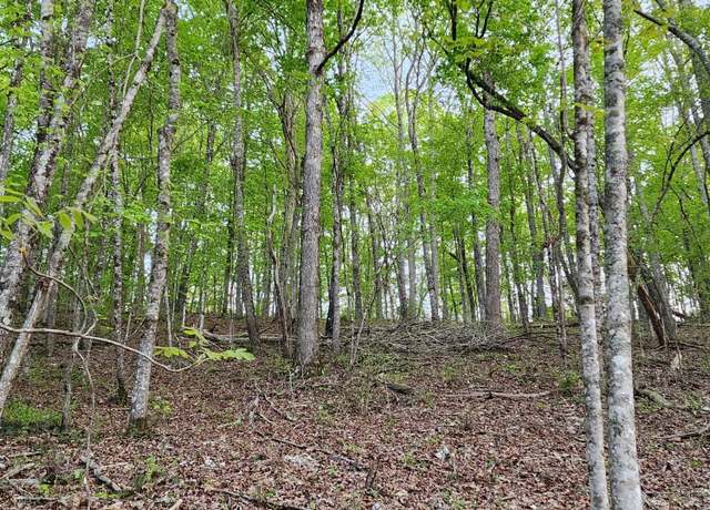 Property at 4622 Parker Loop Rd, Birchwood, TN 37308