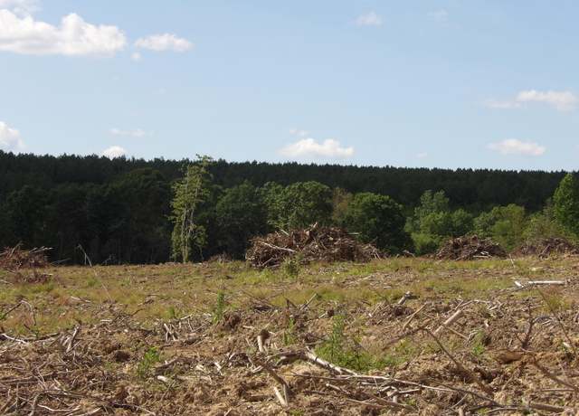 Property at Lot 15 Summer City Rd, Evensville, TN 37332