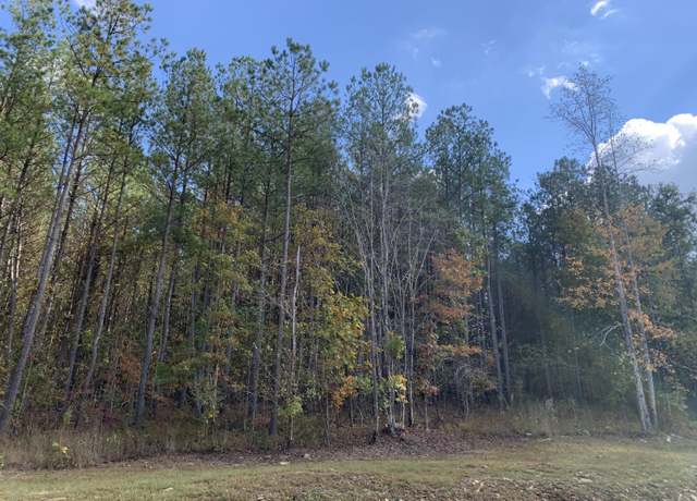 Property at 4910 Raulston Falls Rd Unit Jf-106, Jasper, TN 37347
