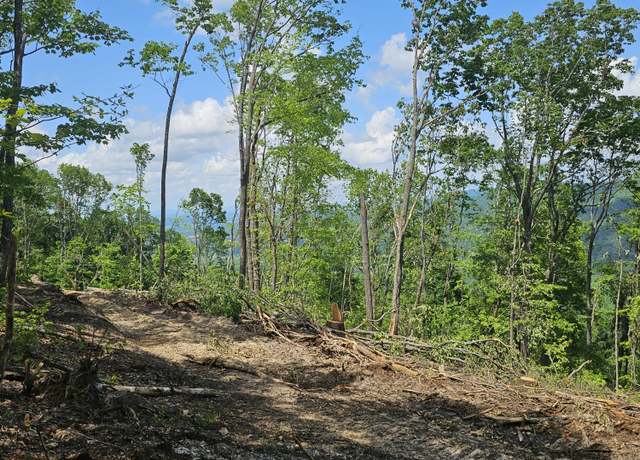 Property at 12 Higgenbottom Tpke #12, Altamont, TN 37301