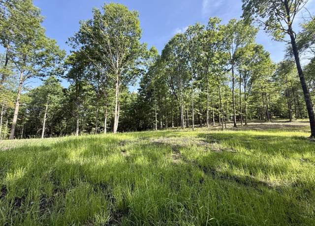 Property at Lott 6 Hobbstown Rd, Dunlap, TN 37327