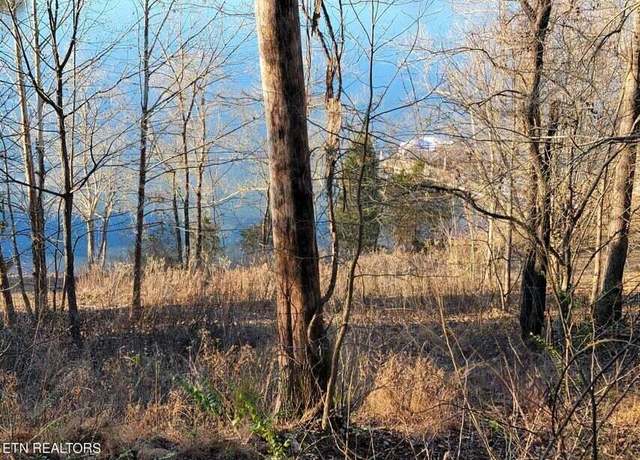 Property at 455 Clearwater Dr, Spring City, TN 37381