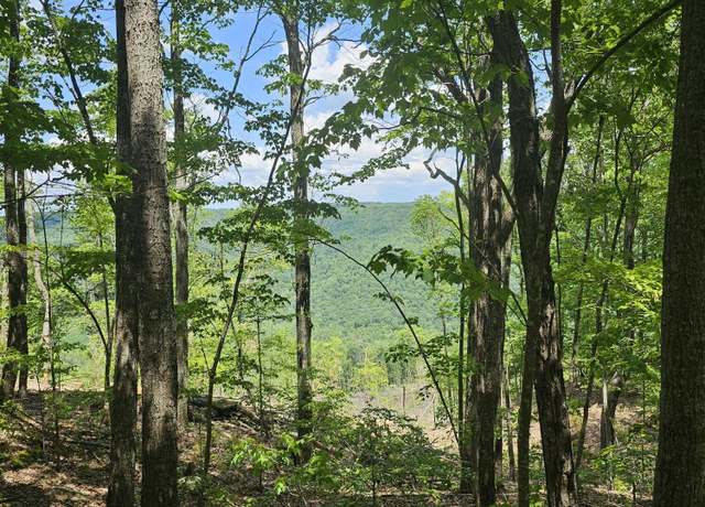 Property at 13 Higgenbottom Tpke #13, Altamont, TN 37301