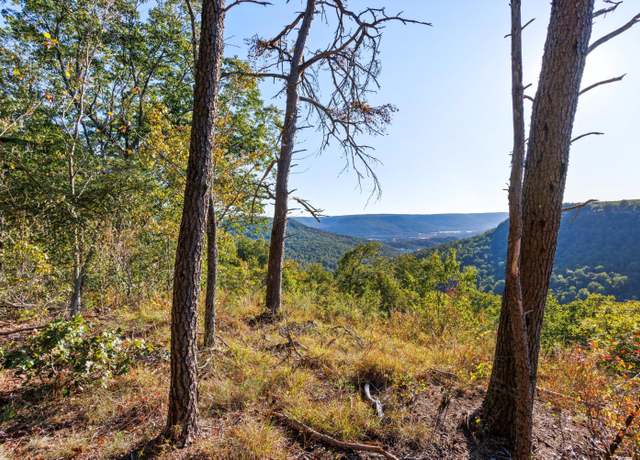 Property at 0 Raulston Falls Rd Unit Jf28, Jasper, TN 37347