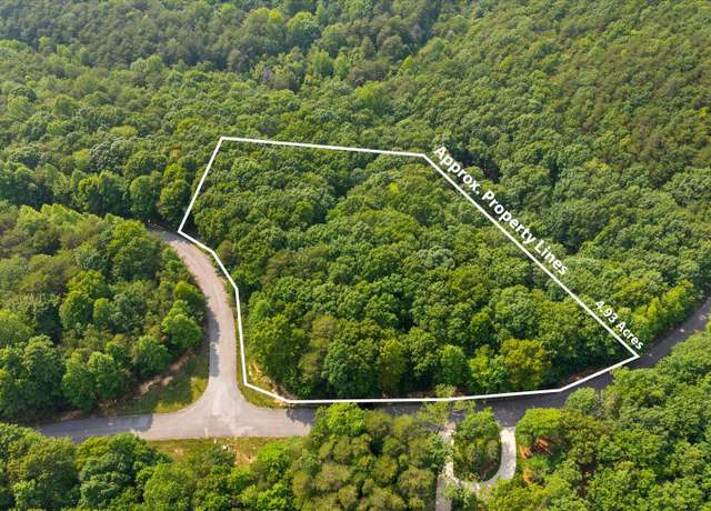 Property at 0 Shivas Crst Lot 52, Rising Fawn, GA 30738