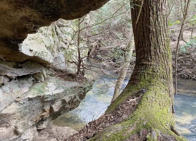 Property at 0 Lone Wolf Trl #3, Spencer, TN 38585