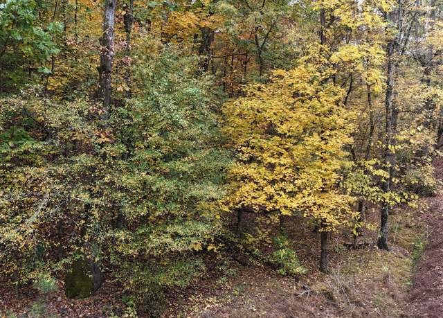 Property at 000 Lower River Rd NW, Georgetown, TN 37336