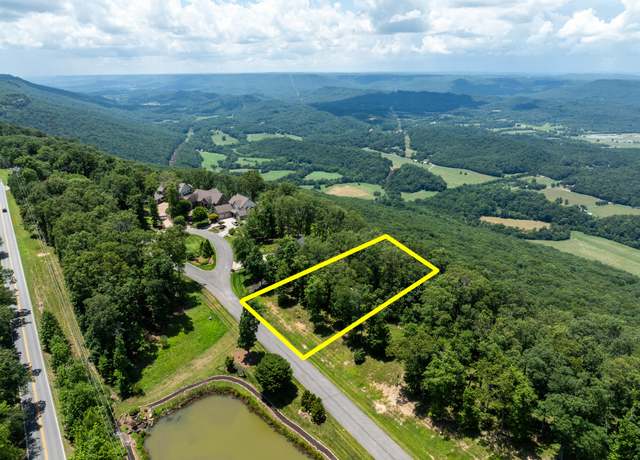 Property at 63 Brow Wood Ln, Lookout Mountain, GA 30750