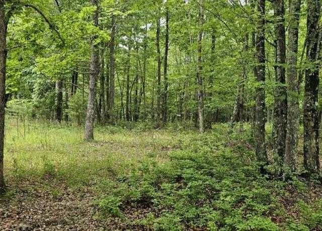 Property at 0 2 Lake Trl Unit 336 & 32-C, Dunlap, TN 37327