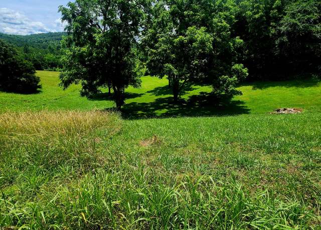 Property at 0 Goodfield Ter #25, Decatur, TN 37322