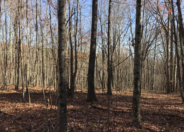 Property at 1 Hobbstown Rd, Dunlap, TN 37327