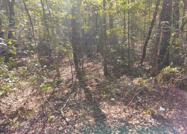 Property at 00 Joe Robertson, Rocky Face, GA 30740