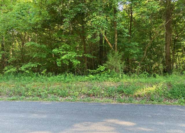 Property at 0 Horner Hollow Rd, Birchwood, TN 37308