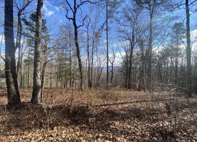 Property at 00 Bluff View Dr #558, Dunlap, TN 37327
