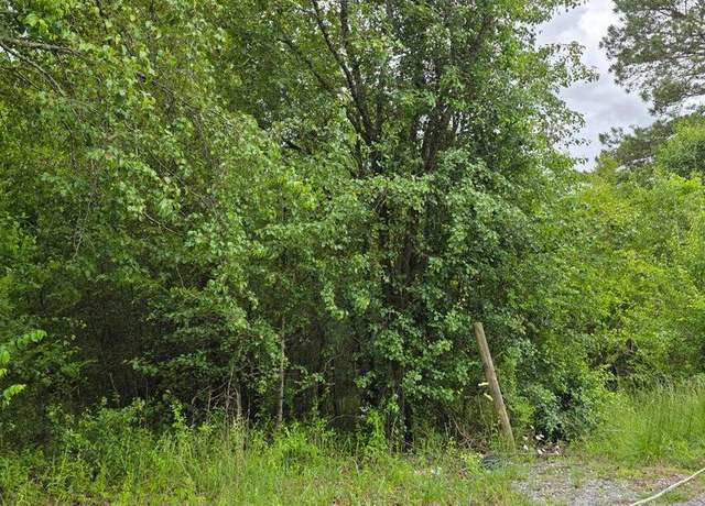 Property at 00 County Rd #101, Riceville, TN 37370