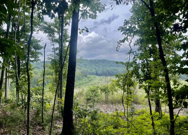 Property at 0 White Oak #3, Summerville, GA 30747