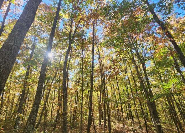 Property at 17 Higgenbottom Tpke #17, Altamont, TN 37301
