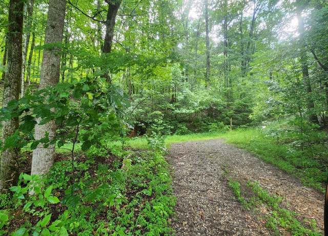 Property at 0 Highway 156, South Pittsburg, TN 37380