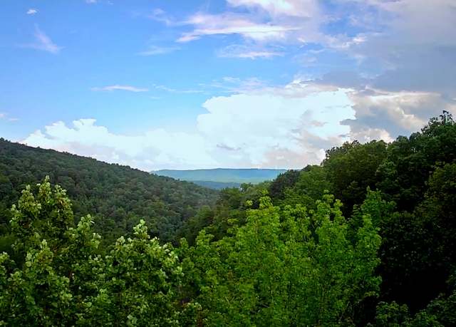 Property at 0 Highway 156, South Pittsburg, TN 37380