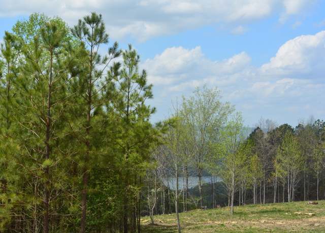 Property at Lot 1099 Birds Eye Way, Guild, TN 37340