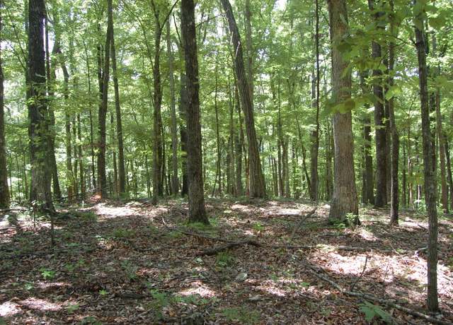 Property at 300 Canaan Ln, Rising Fawn, GA 30738
