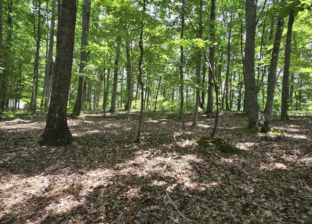 Property at 300 Canaan Ln, Rising Fawn, GA 30738