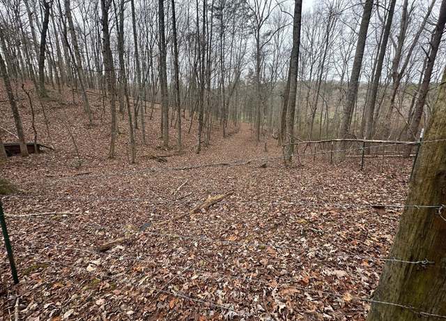 Property at 120.62 Browns Hollow Rd, Tracy City, TN 37387