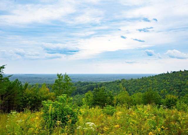 Property at 1525 Barker Rd, Palmer, TN 37365, 3 beds, 2 baths