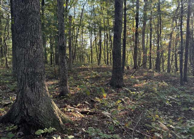 Property at 9 & 10 Ivy Branch Rd, Spring City, TN 37381