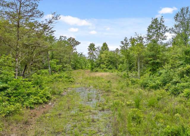 Property at 0 State Highway 58, Decatur, TN 37336