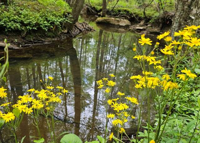 Property at 0 Big Mine Rd, Palmer, TN 37365