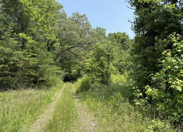Property at 295 Co Rd 296, Bryant, AL 35958