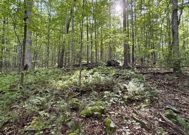 Property at 00 Walker Branch Rd, Dunlap, TN 37327