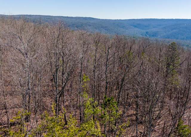 Property at 121 Heavenly Hills Ln #5, Dunlap, TN 37327