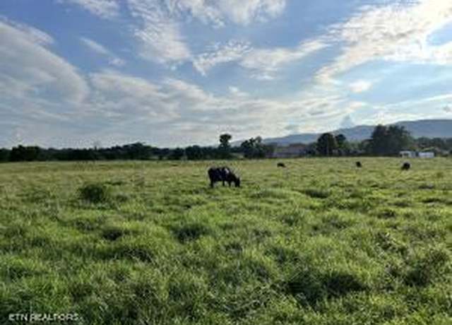 Property at 0 Old State Highway 28, Pikeville, TN 37367