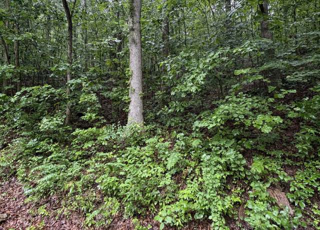 Property at 0 Highway 27, Whitwell, TN 37397