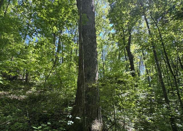 Property at 5.88 Main St, Palmer, TN 37365