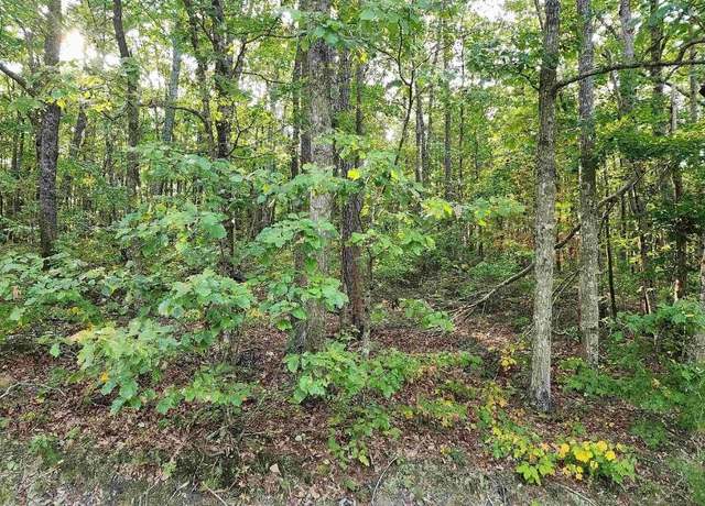 Property at 3.72 Acres County Road 14, Flat Rock, AL 35966